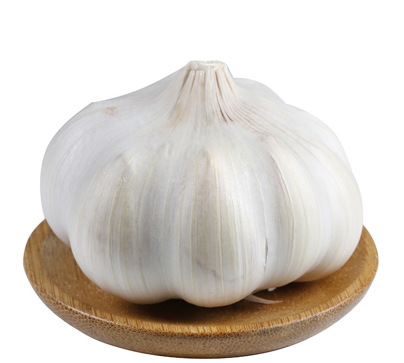 garlic1.png